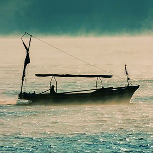 アコメヤの一番人気「鯛めし」を製造する愛媛海産の「一船買い」の取り組み